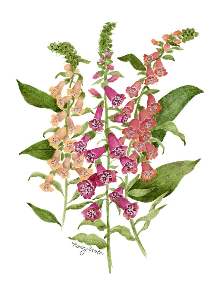 Impression Giclée Florale Aquarelle "Appel à l'Autorité" pour la vente par Beauty Is Inside