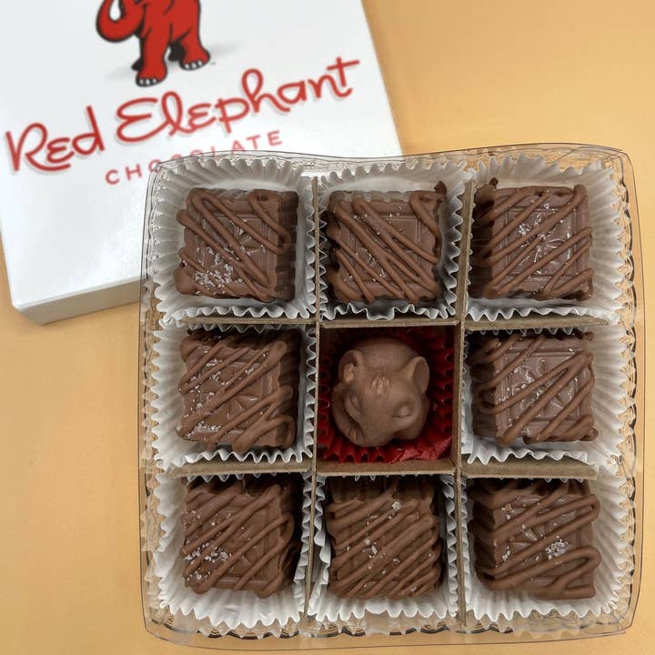 Concordia Red Elephant Chocolate - Wholesale Chocolate Box - The Sea Salt Caramel Collection: Our Best Selling Chocolates