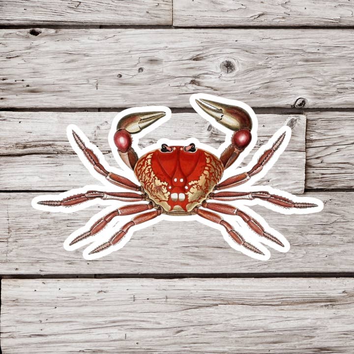 Adesivo a forma di granchio, adesivo a forma di crostaceo, adesivo da spiaggia per la vendita all'ingrosso da parte di NatureCuts