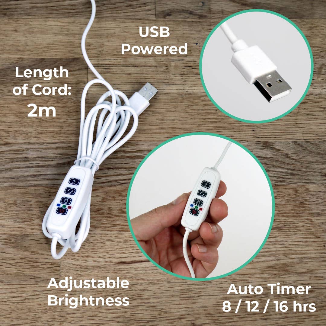 Tiny Treehouses Australia - Wholesale DIY craft kit - Sunrise Terrace + Grow Light5