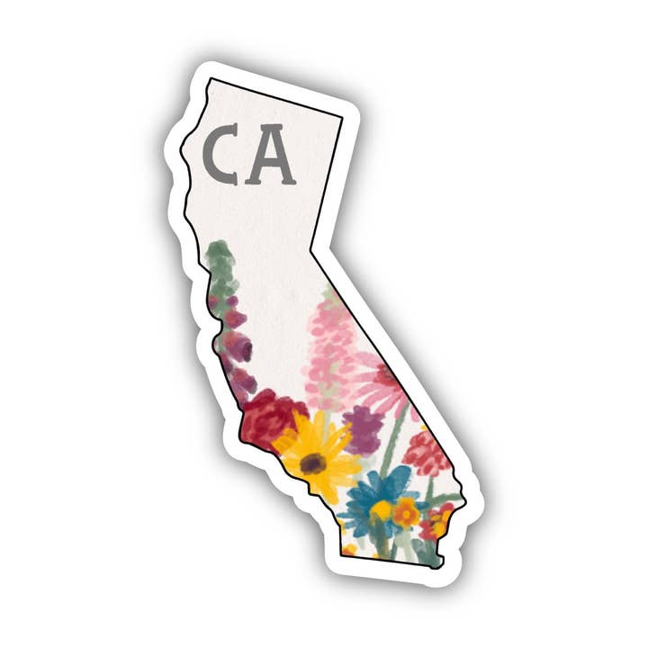California Painterly Pattern Sticker for wholesale by Big Moods