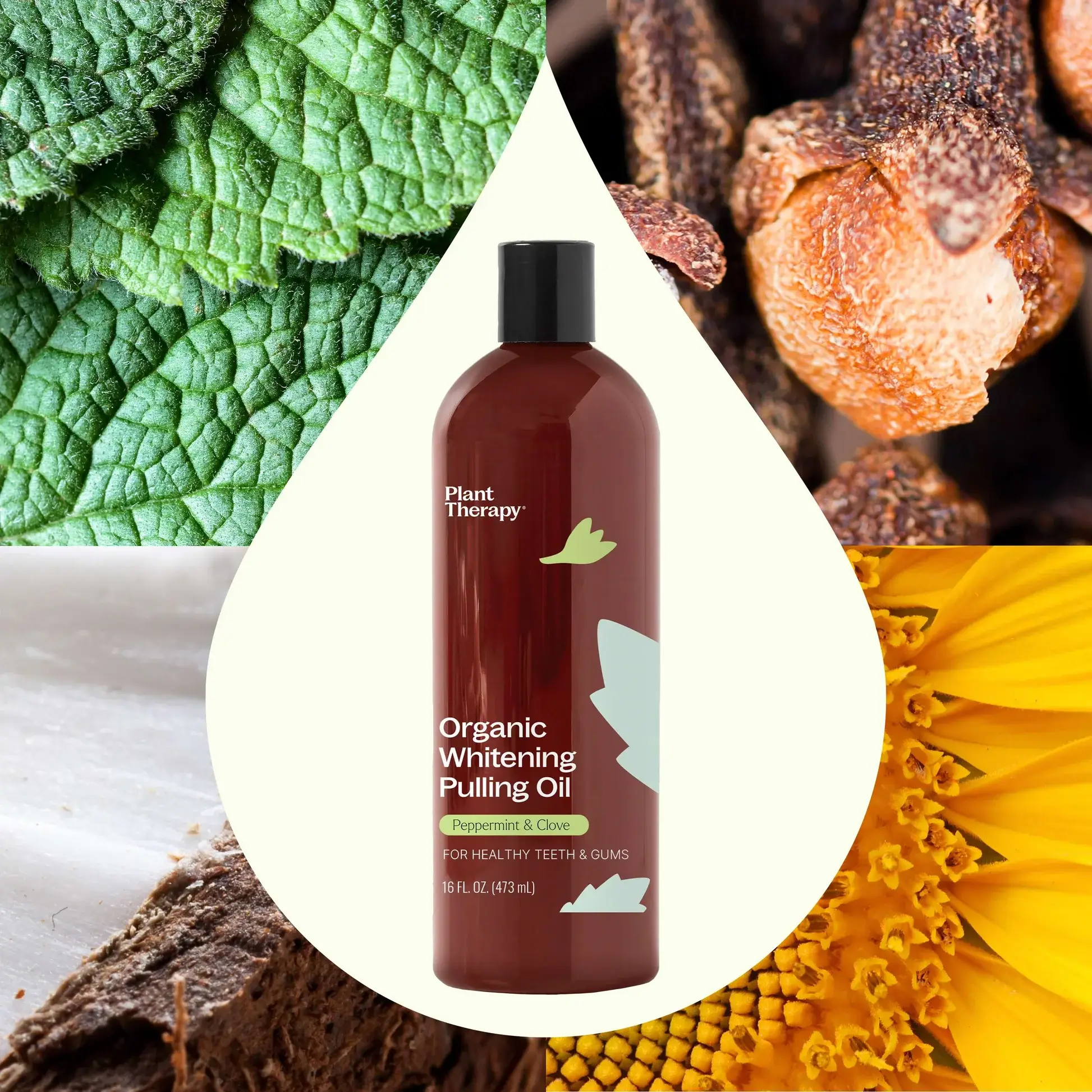 Plant Therapy - Vente Produit de blanchiment des dents - Huile biologique blanchissante pour bain de bouche 473 ml2