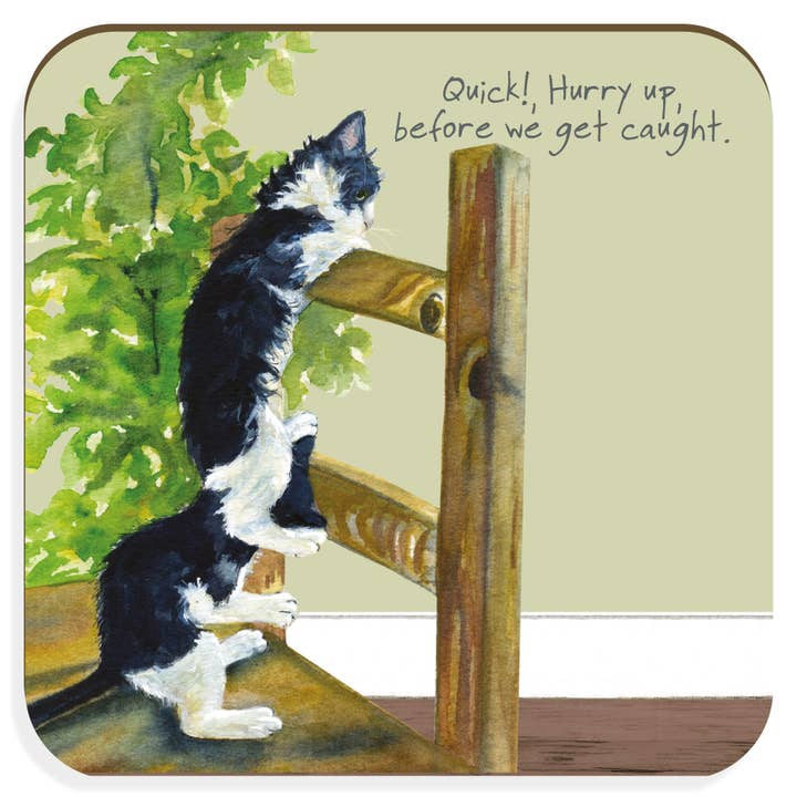 Kittens Coaster voor wholesale door The Little Dog Laughed