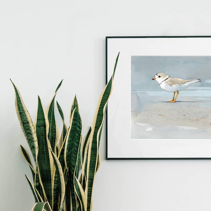 Studio Tuesday - Wholesale Art Print - Piping Plover Beach Art Print, Coastal Décor