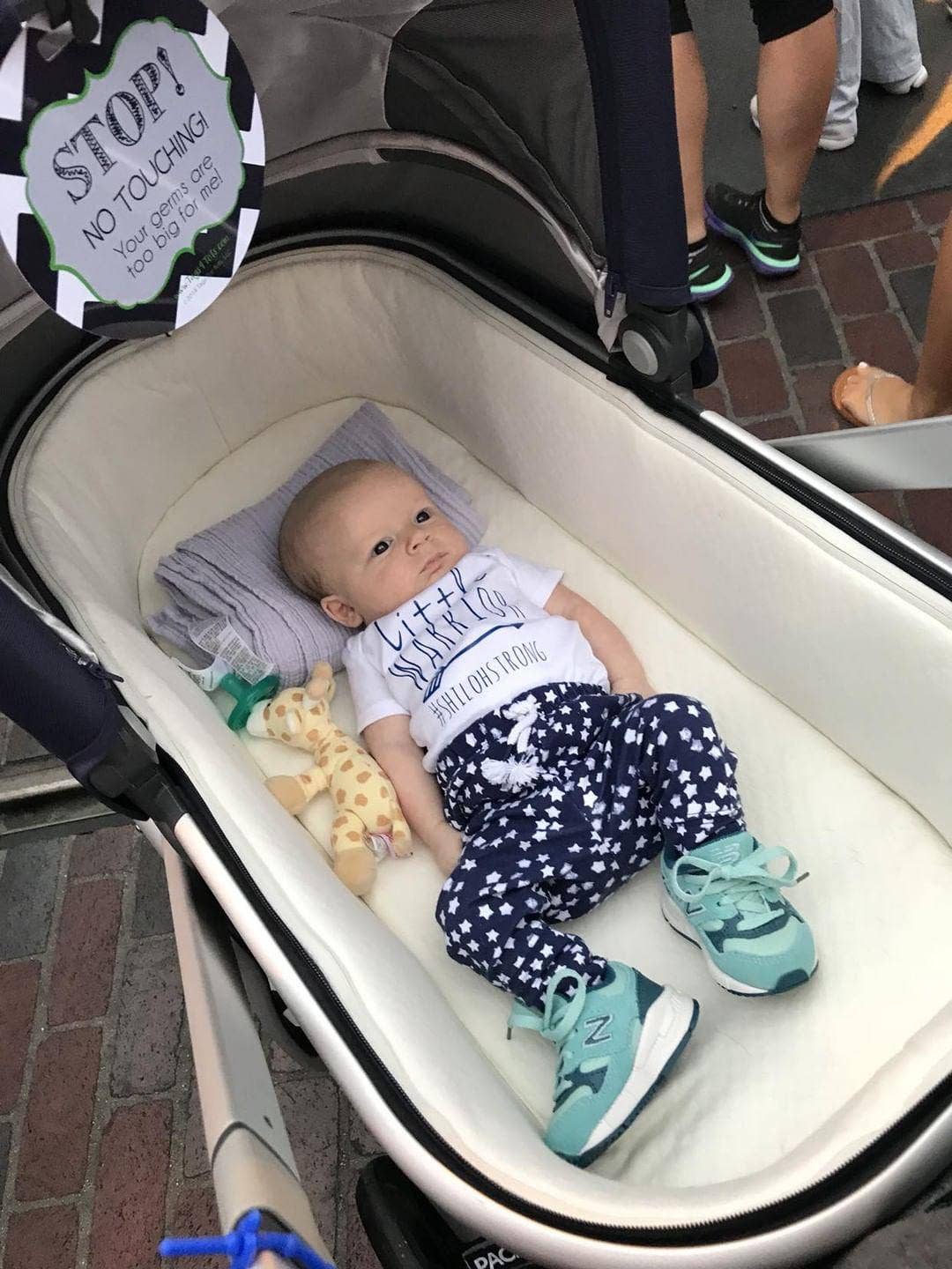 Three Little Tots - Wholesale Car Seat Cover - Kids & Baby - Seahawk No Touching Baby Car Seat and Stroller Tag3