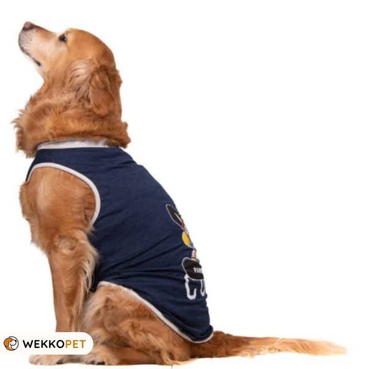 High-Quality Dark Blue Cool TSHIRT *(BIG dogs) Perfect Dog Lover Gift - WEKKOPET (SET OF 5) for wholesale by WEKKOPET