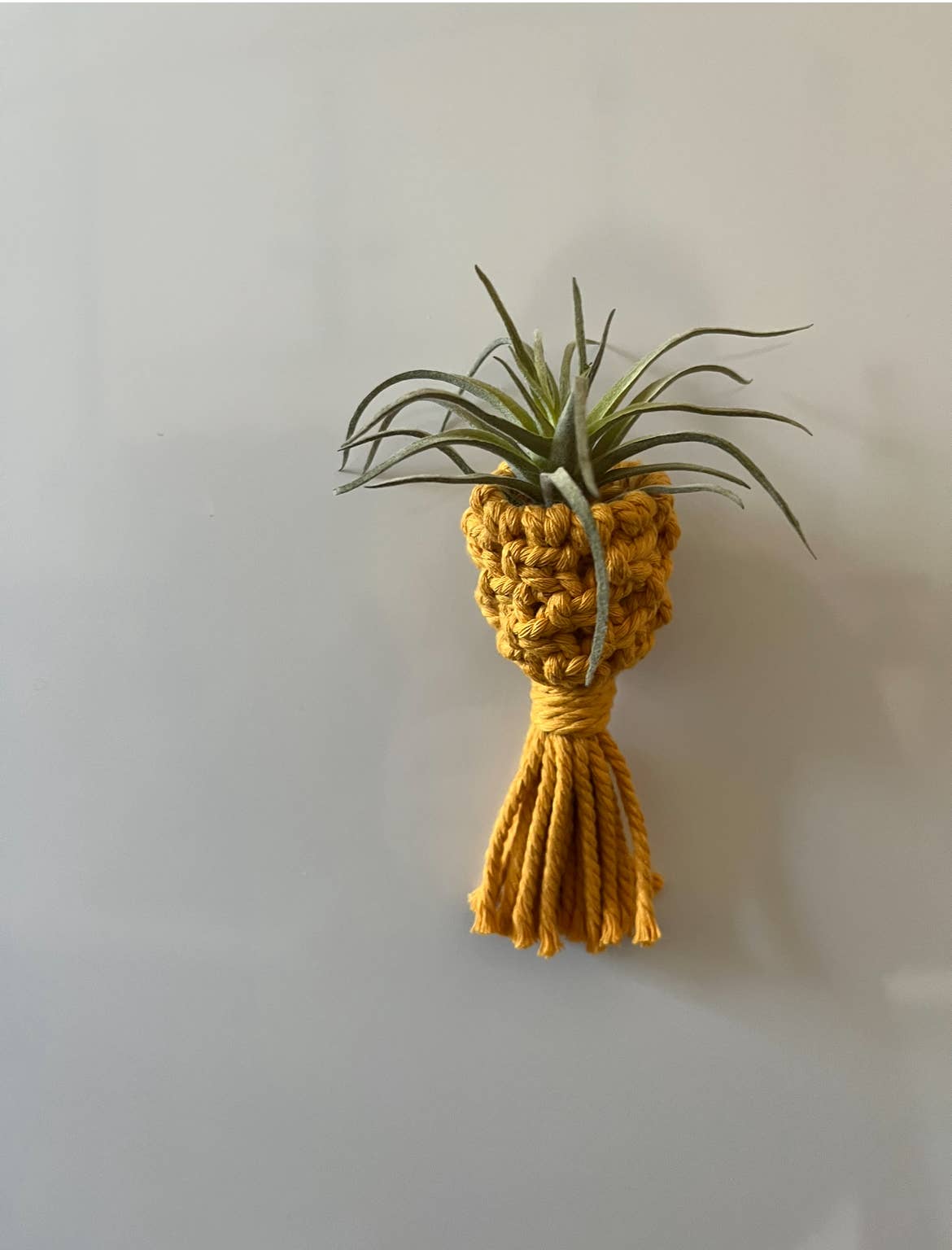 Nashville Macrame - Wholesale Hanging Planter - Macrame Air Plant Holders 1