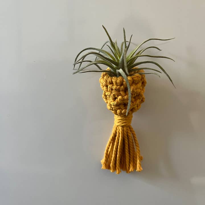 Nashville Macrame - Wholesale Hanging Planter - Macrame Air Plant Holders 1