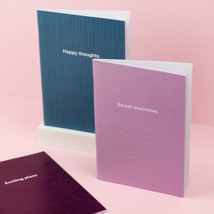 The Mood Club – wholesale Anteckningsbok – 3 anteckningsböcker för medvetet dagboksskrivande6