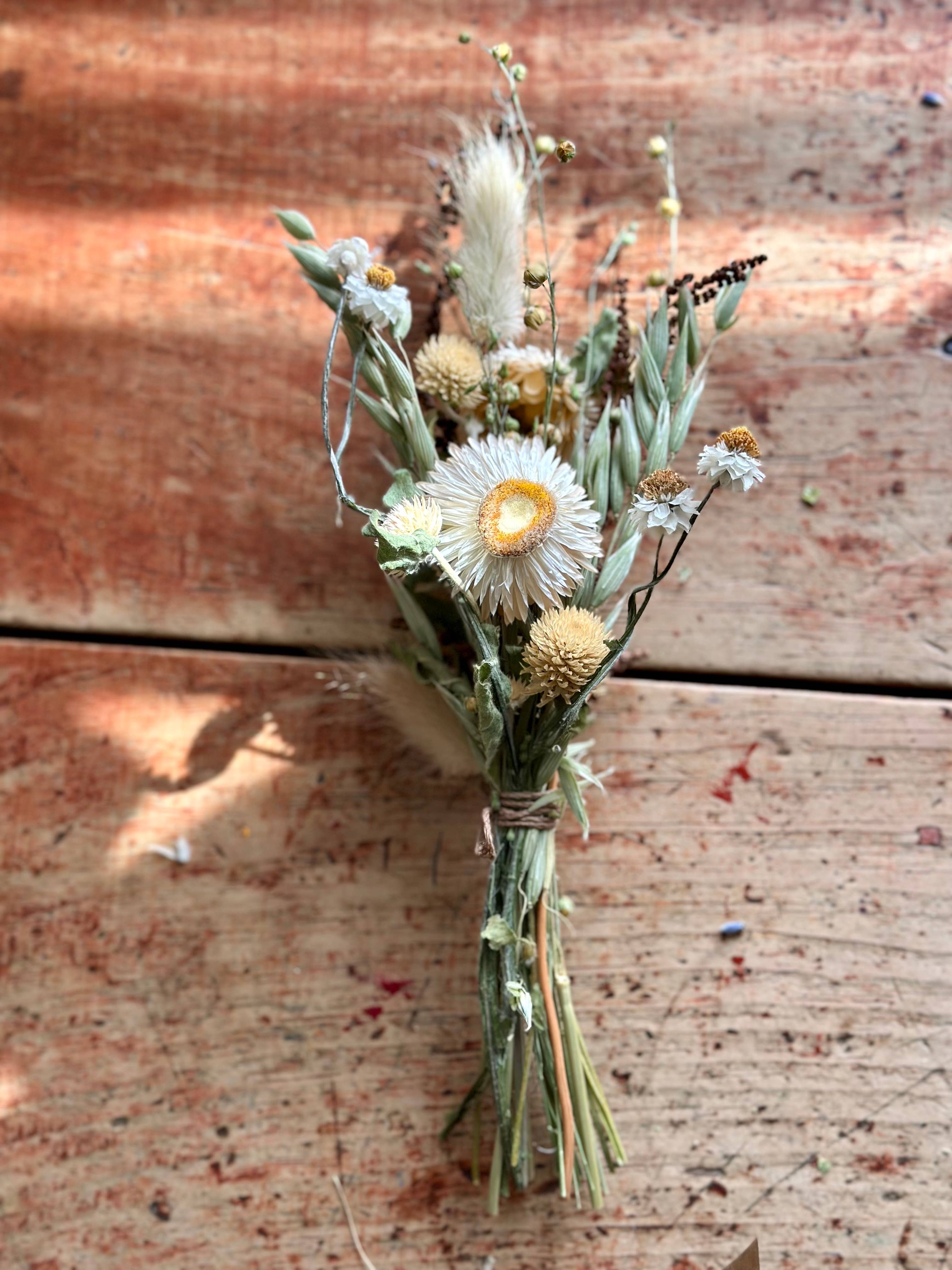 erba - Wholesale Dried/Pressed Flowers - Dried Floral Bouquets10