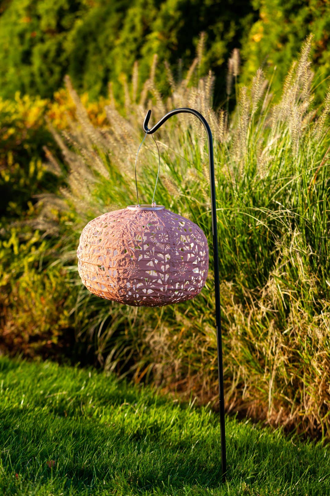 Allsop Home & Garden - Wholesale Outdoor/Lawn Light - Stella Square Sunflower 11" Solar Lantern - Clay14