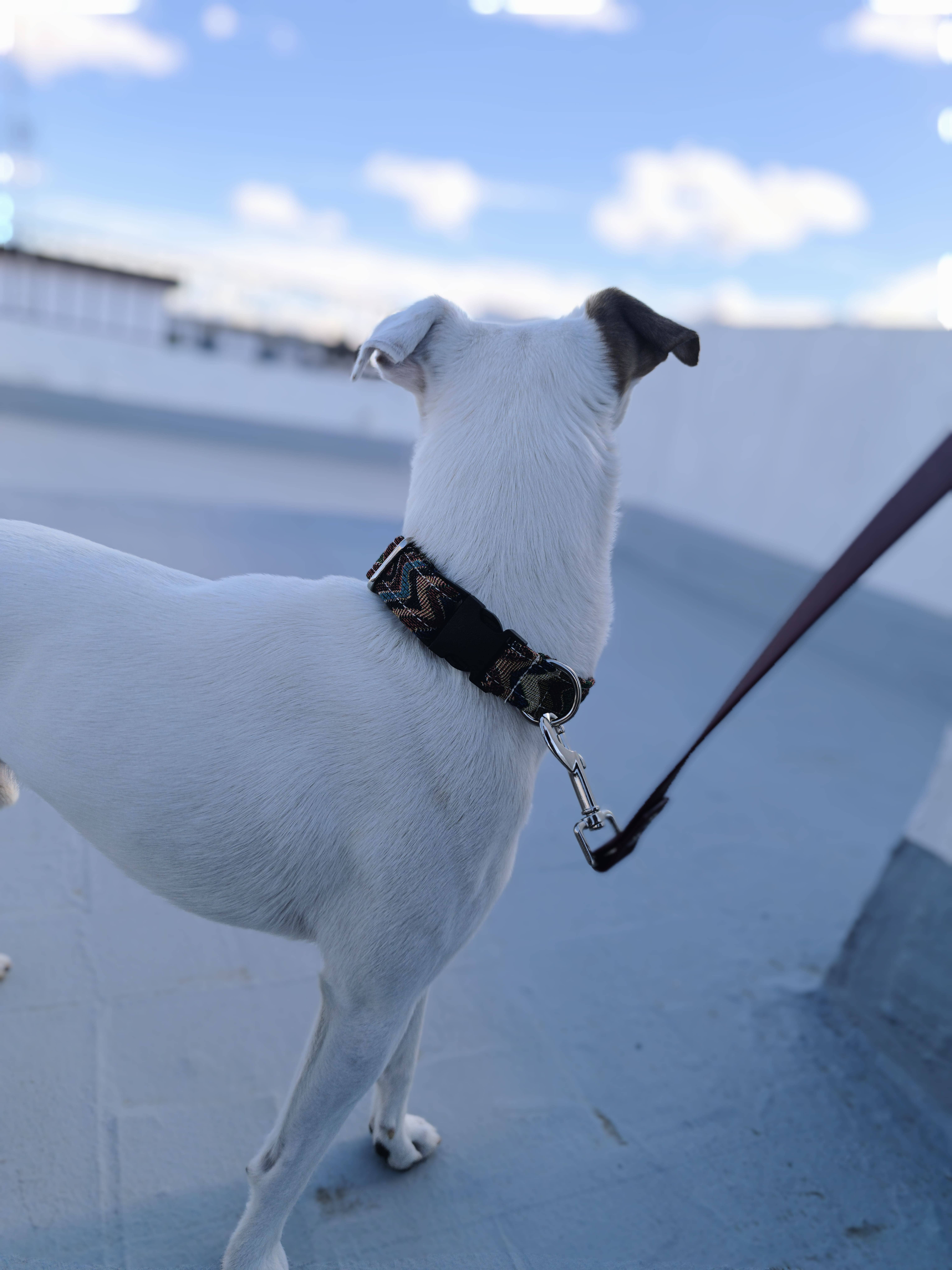 Mabelpiel – coleira - Cão por atacado – Coleira para cão com design étnico boêmio2
