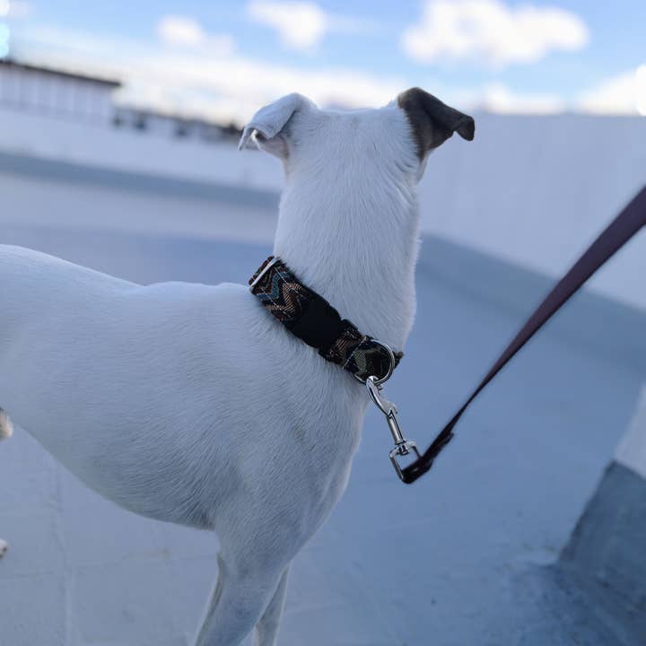 Mabelpiel – coleira - Cão por atacado – Coleira para cão com design étnico boêmio2