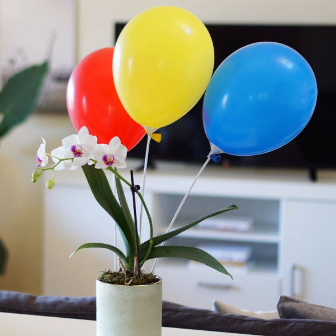 Balloon Sticks with Cups 25ct - $9.99 : Custom Printed Balloons