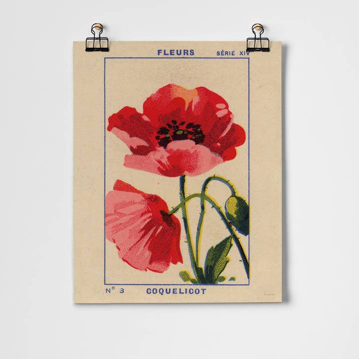 Coquelicot - Poppy Fine Art Print for wholesale by Roomytown Inc
