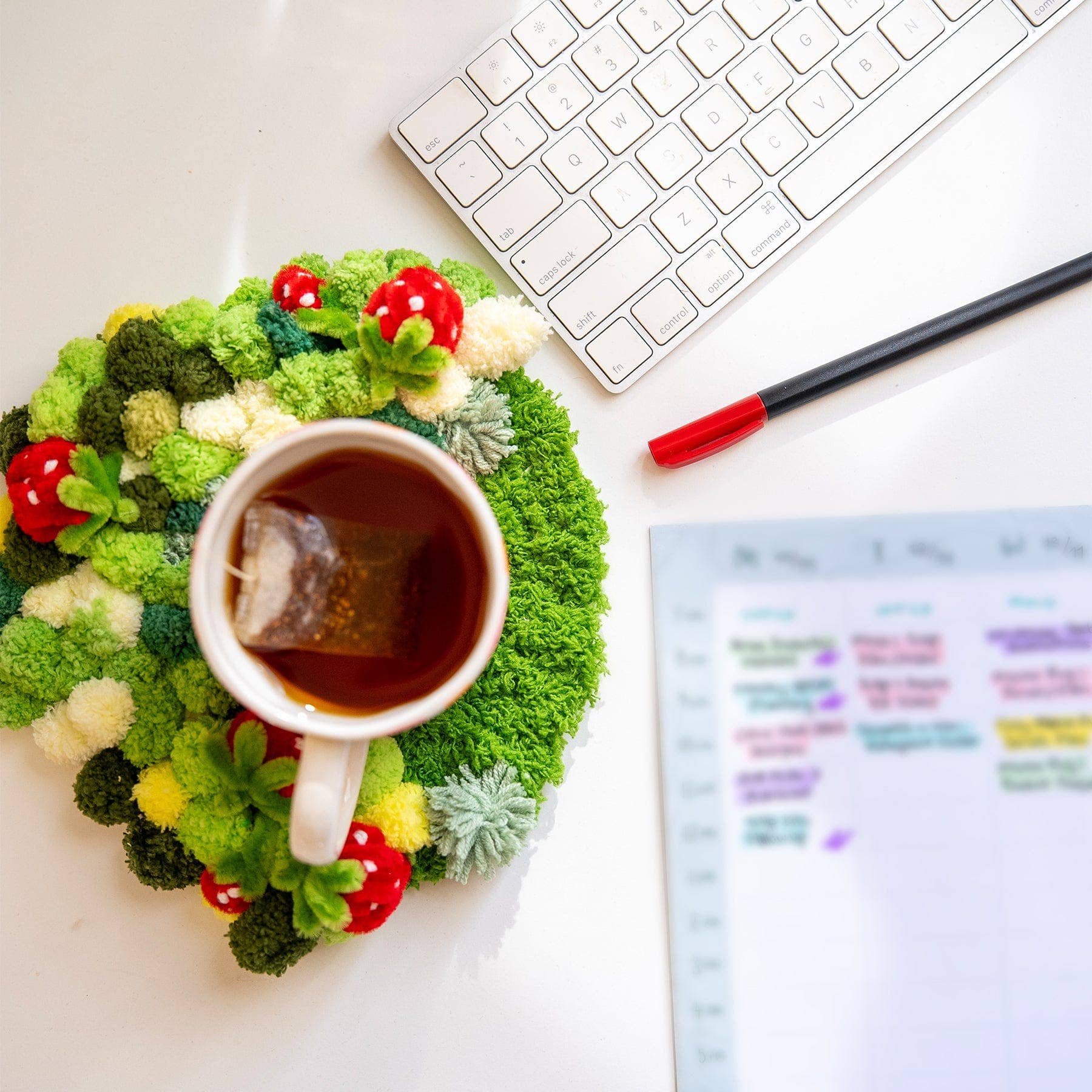 Craft Club - Wholesale DIY Craft Kit - STRAWBERRY -  Moss Coaster Kit2