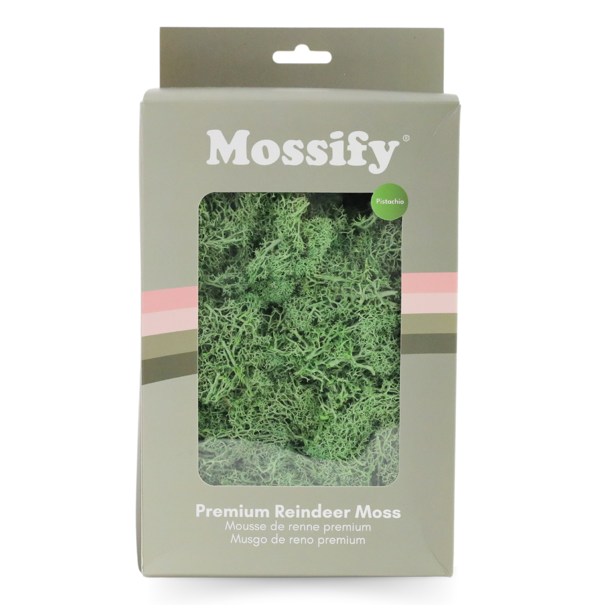 Mossify - Wholesale Live Plant - Premium Preserved Reindeer Moss – Colorful Decorative Mix5