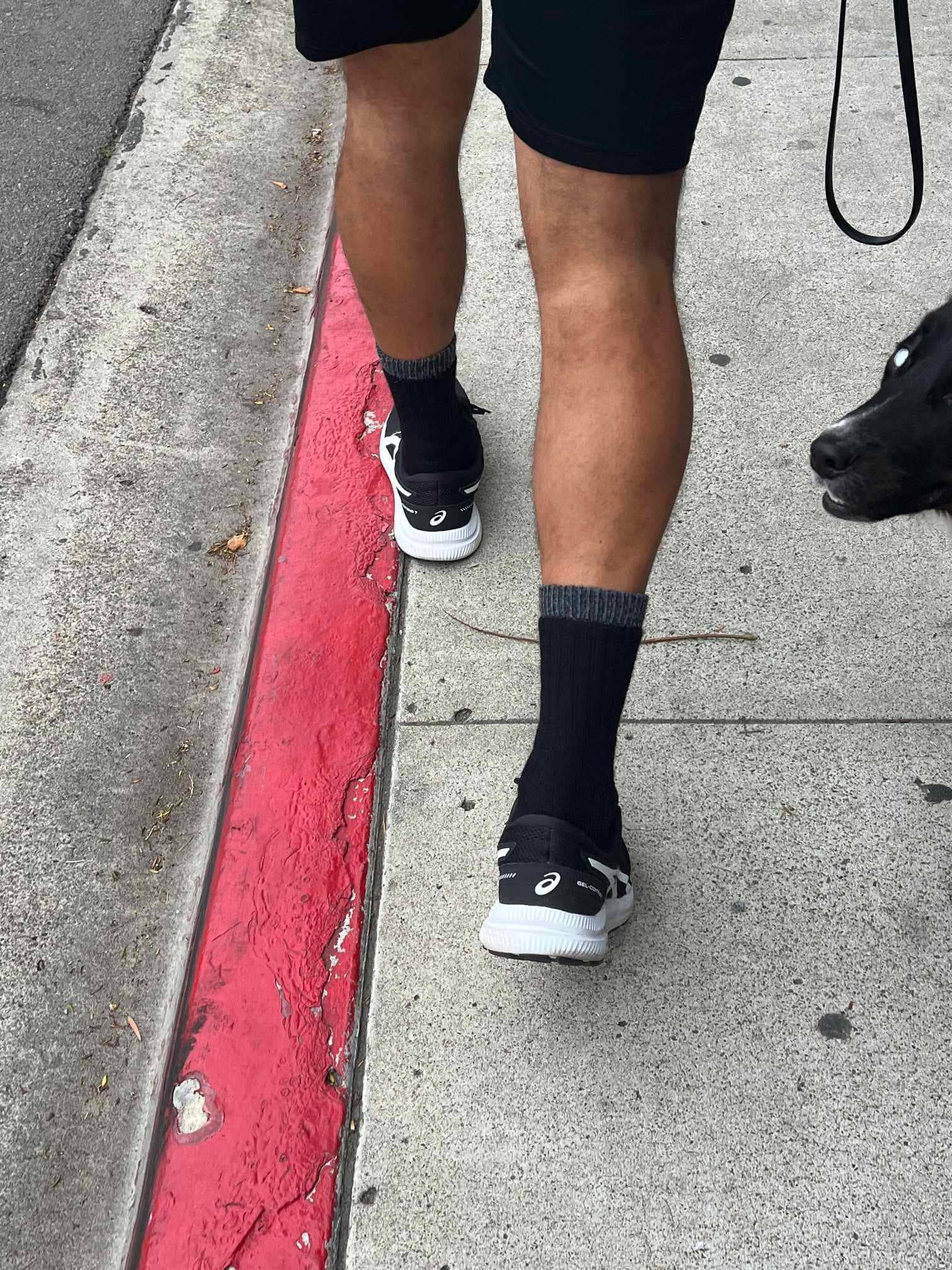 Choice Alpaca Products - Venta al por mayor Calcetines - Unisex - Calcetines de alpaca OutdoorAdventure - Hechos en EE. UU.4