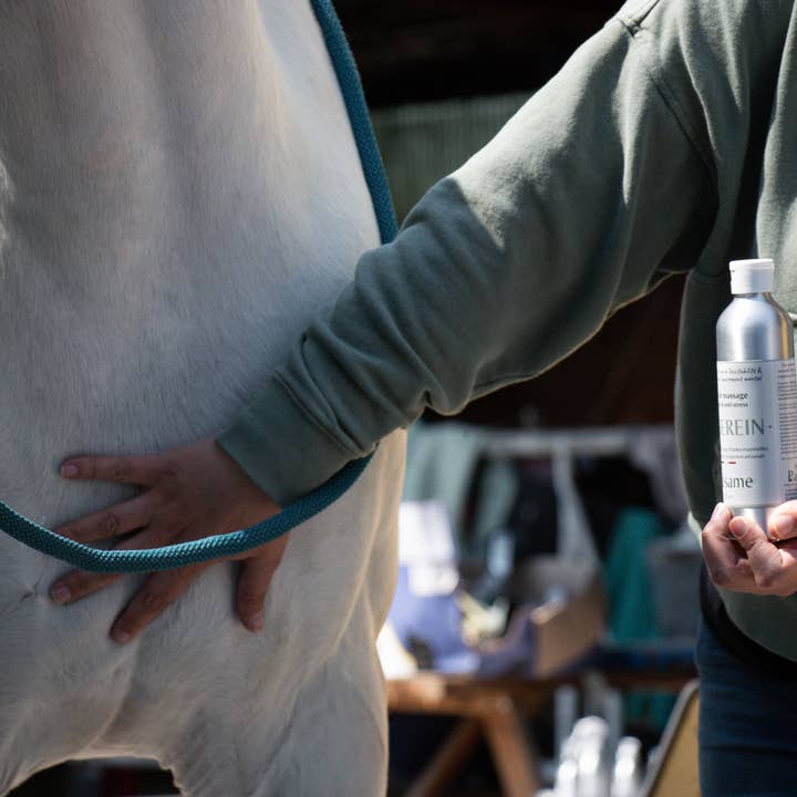 BALSAME - Wholesale Horse Conditioner/Grooming Aid - THE SERENE, Anti-stress oil1