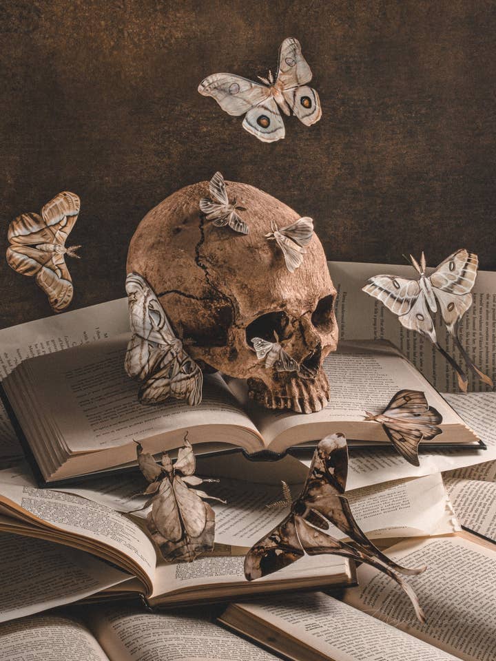 Bury Me In The Library | Art Print | Dark Academia for wholesale by Alyssa Thorne