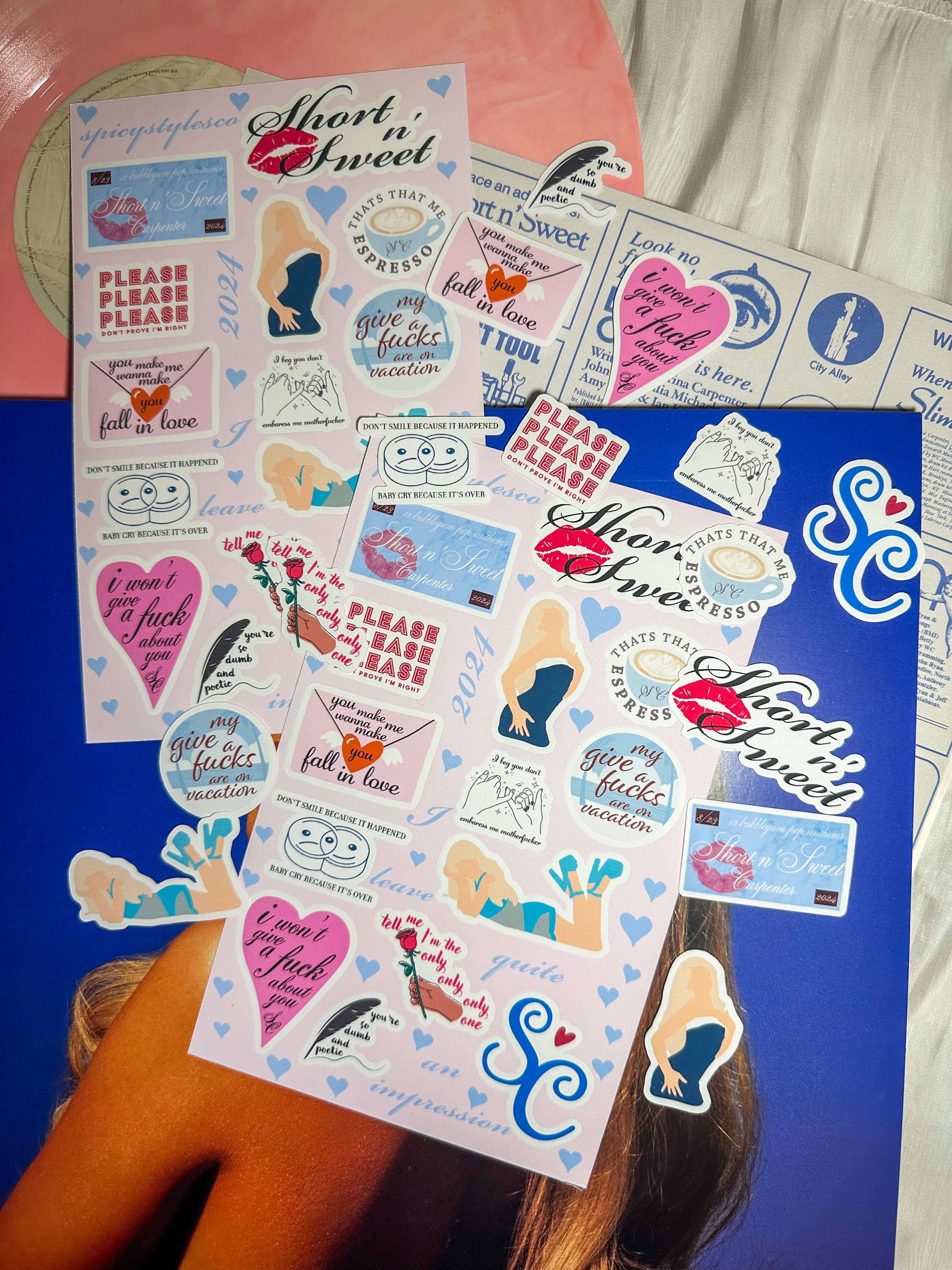 SpicyStylesCo – wholesale Sticker – short n'sweet SC6 sticker sheet6