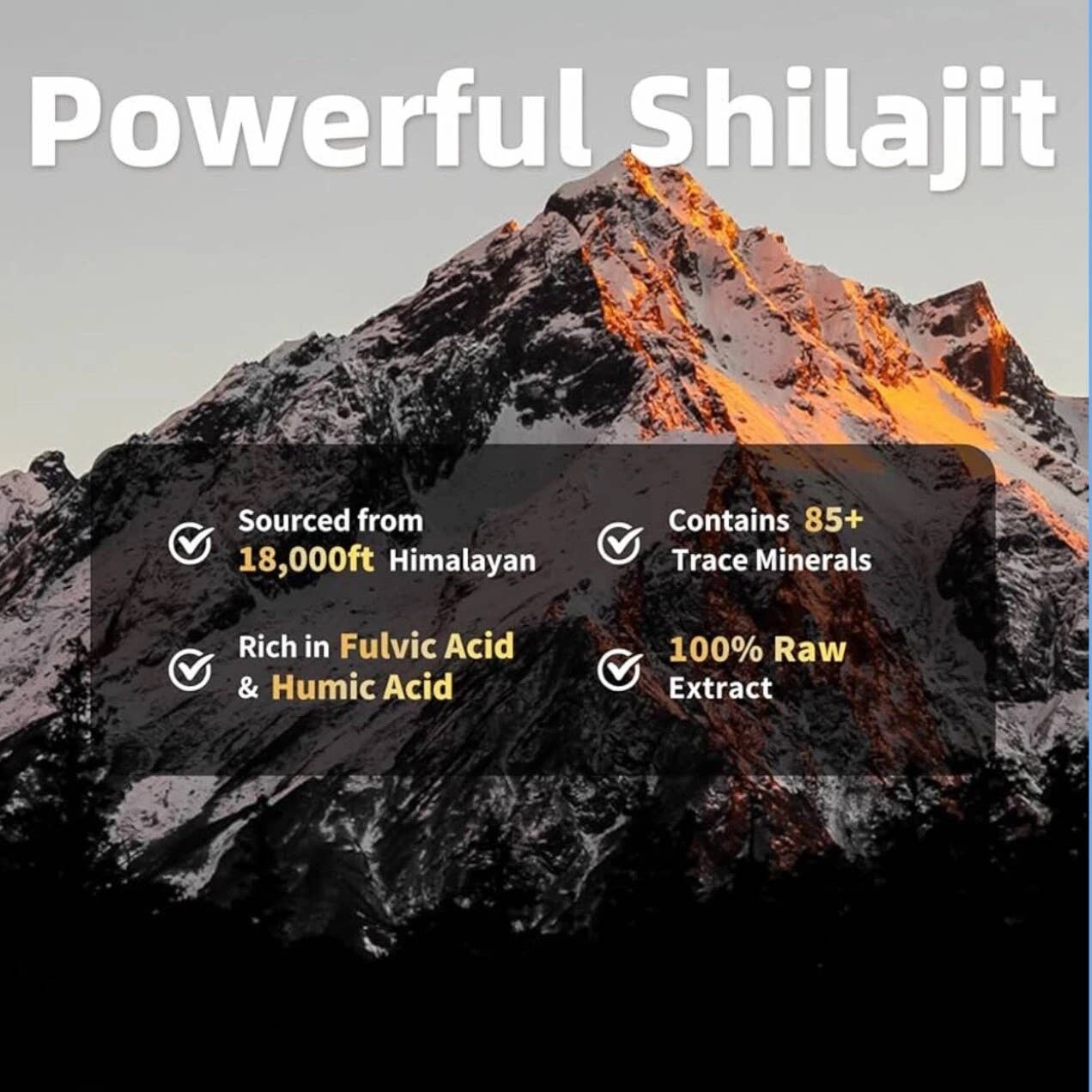 COZY HOMES COLLECTION - Wholesale Oral Supplement/Vitamin - Pure Himalayan Organic Gold Grade Shilajit Resin - 50g2