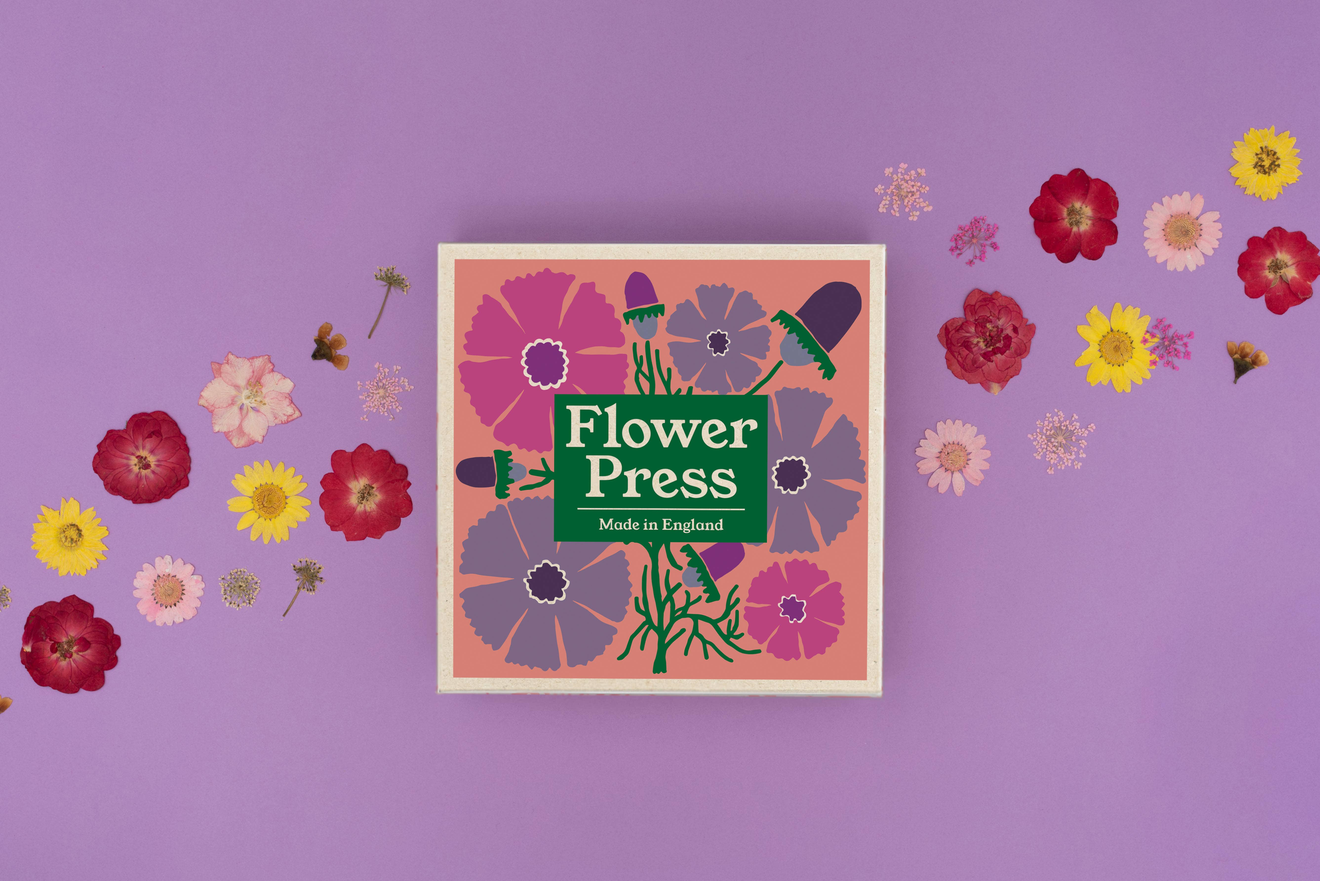 Studio Wald - UK Made - Wholesale DIY Craft Kit - Flower Press - Cosmos1