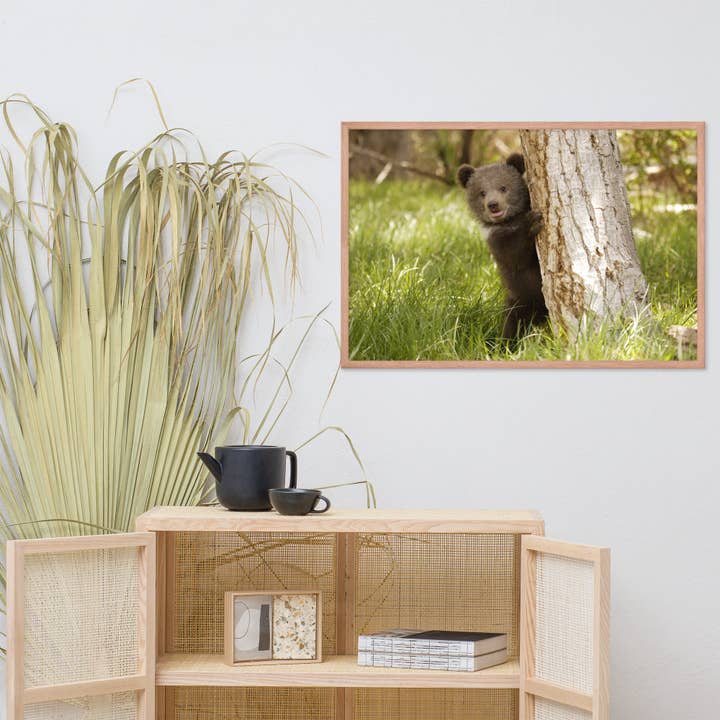 Pipa Wall Art & Home Decor - Wholesale Art Print - Cute Baby Grizzly Bear Cub Behind Tree In Meadow Framed Art12