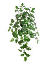 Larksilk - Wholesale Artificial Plant - Pothos Ivy Bush W/ 117 Silk Leaves - 33" Long - 2 PACK0