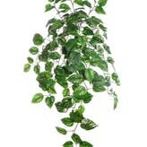 Larksilk - Wholesale Artificial Plant - Pothos Ivy Bush W/ 117 Silk Leaves - 33" Long - 2 PACK