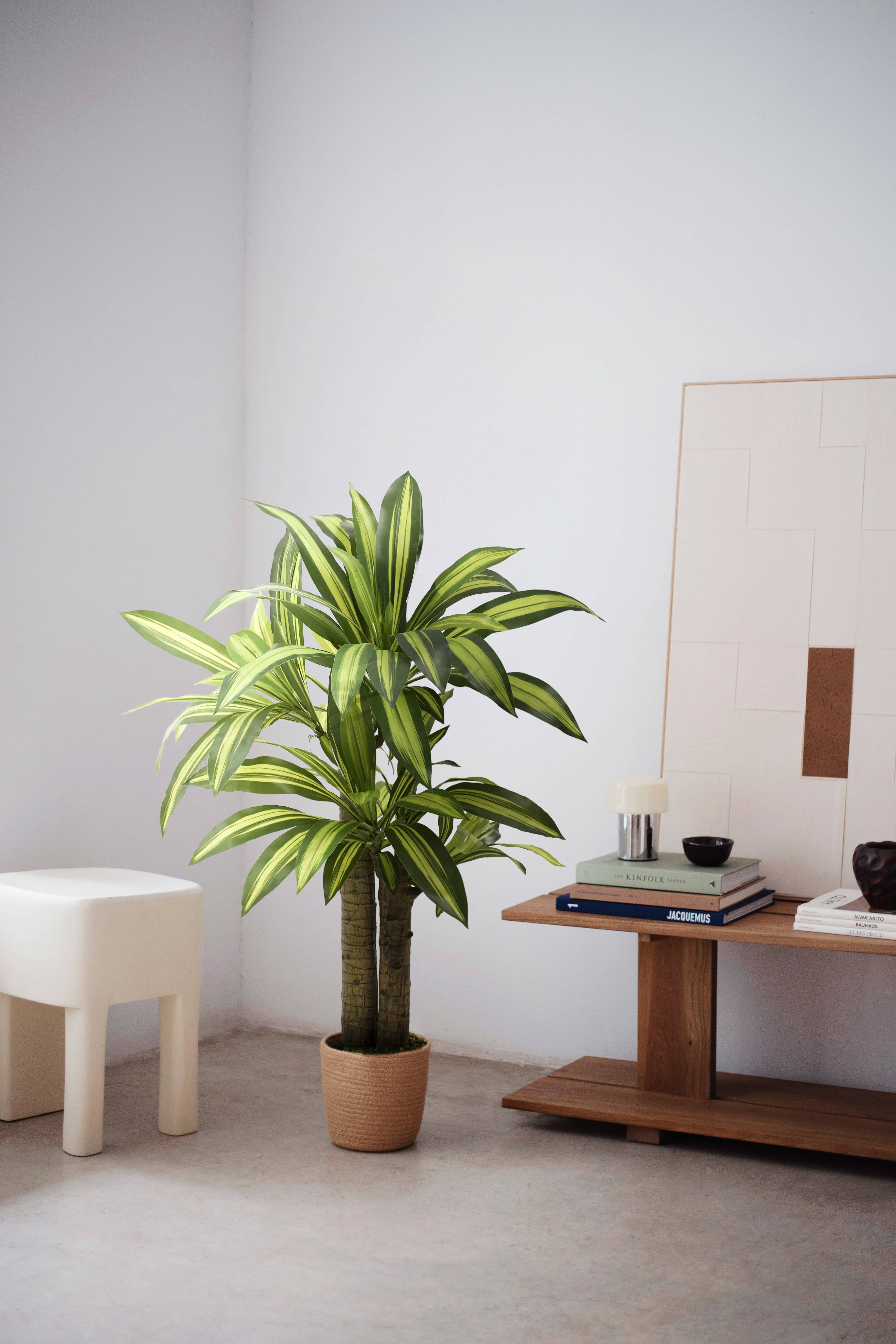 Maia Shop: No Duties for the US - Wholesale Artificial Plant - 4' Artificial Dracaena Tree0