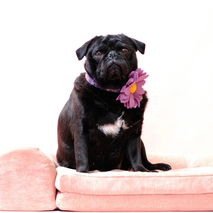 Mimi Green - Wholesale Pet Collar - Dog - Lotus Dog Collar Flower (12 colors!) NEW COLORS