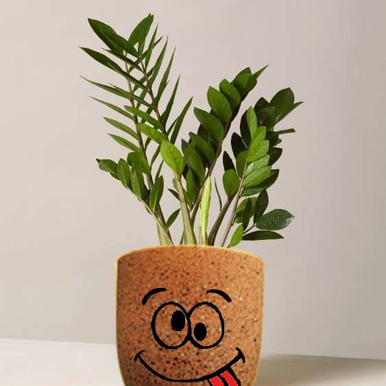 Crazy Face Plant Vase- Affordable & Fun for wholesale by Maqoba