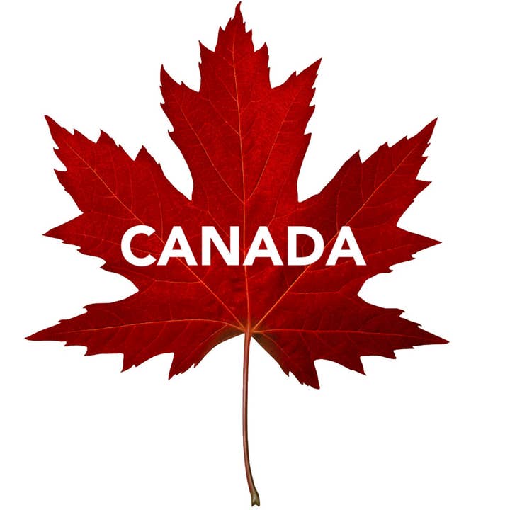 Animaux du Quebec - Duvet Cover - soft blue 🇨🇦 for wholesale by The Wheaten Store