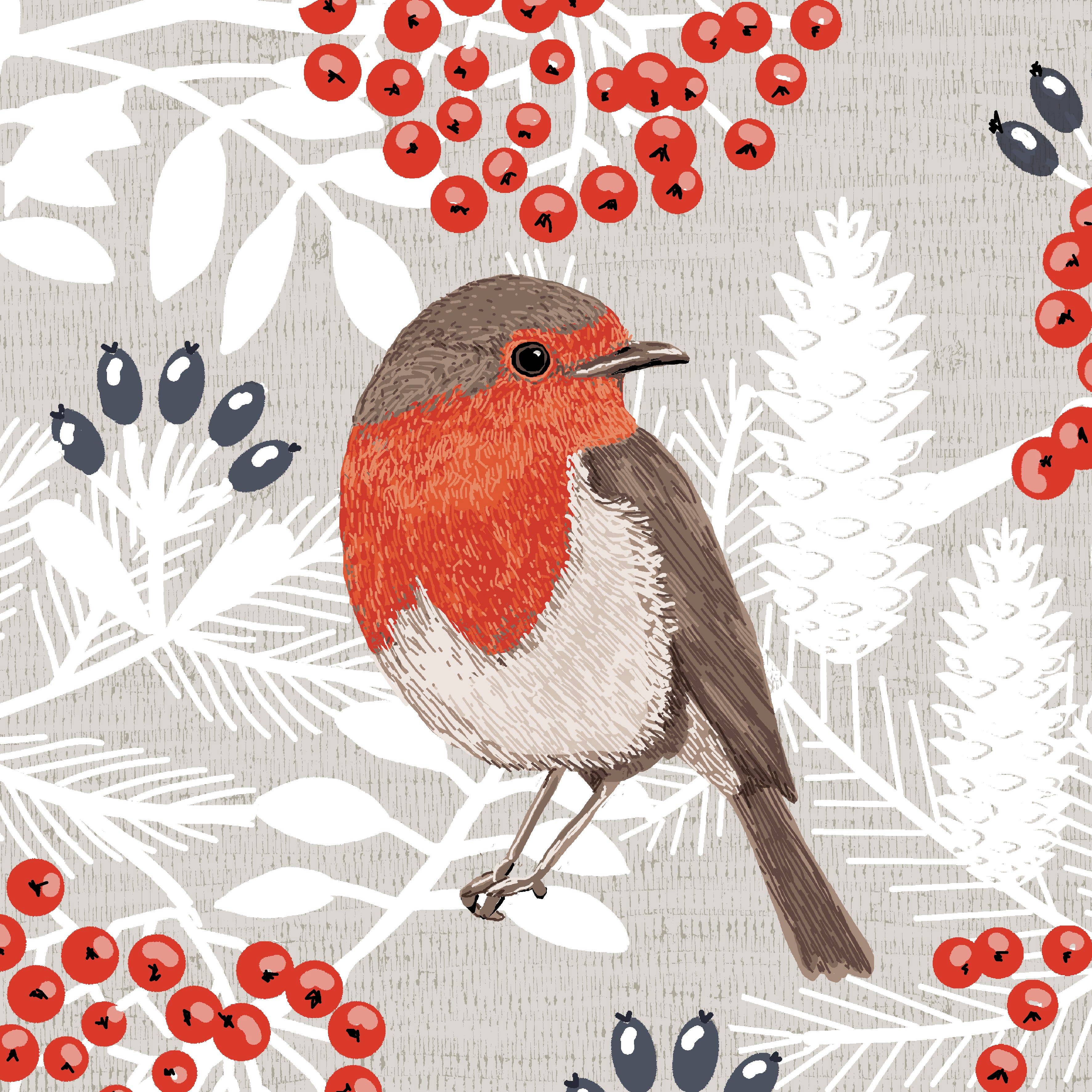 Helen Briggs Design - Vente Affiche d'art - Impression d'art Robin1