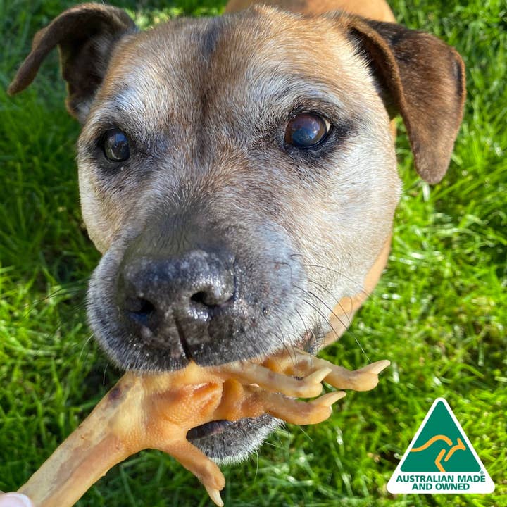 Rover Pet Products - Wholesale Pet Treats - Dog - Foot LOOSE! - Chicken Feet15