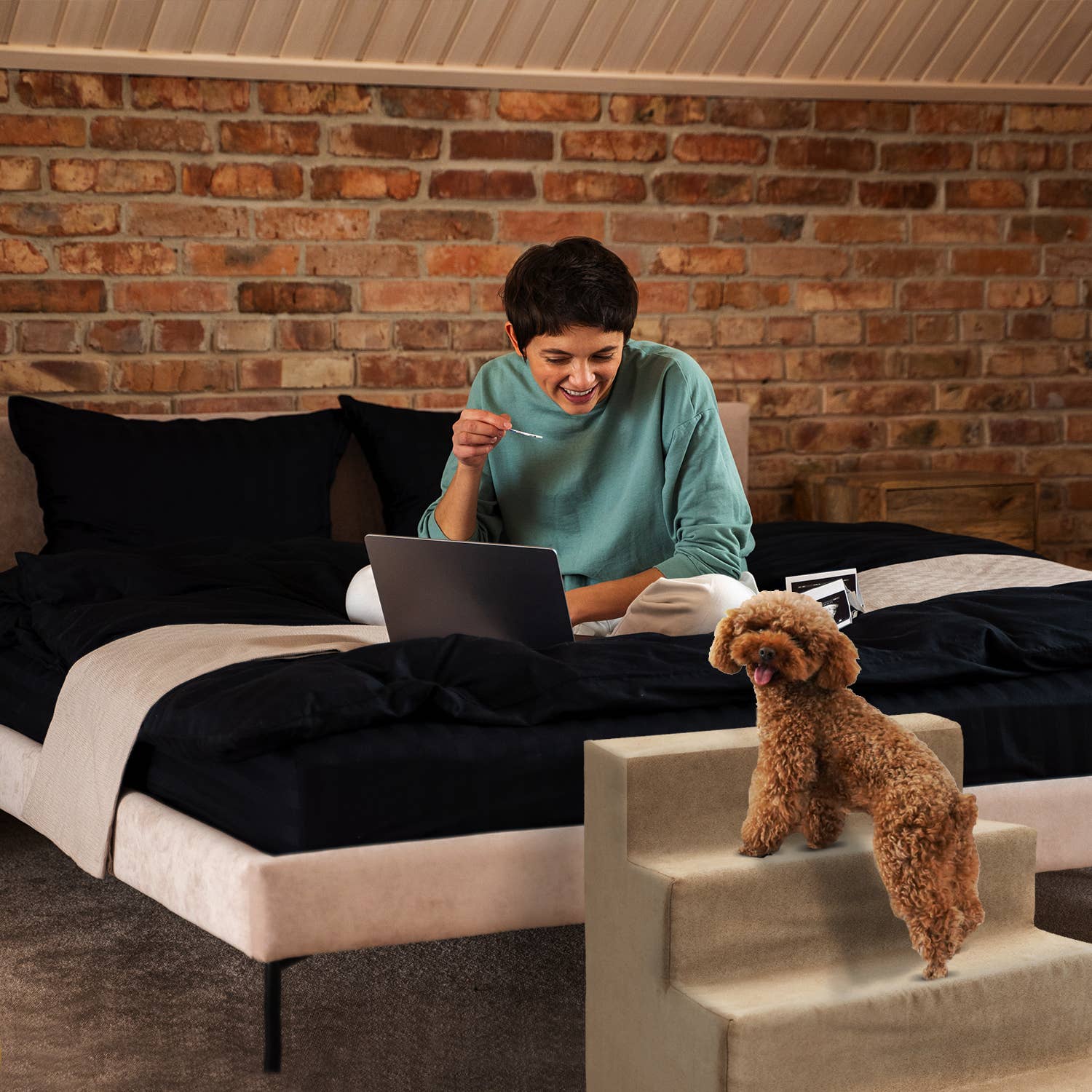 Precious Tails - Vente Escalier et rampe – chat et chien - Precious Tails Escalier pour animaux de compagnie en mousse haute densité 4 étapes13