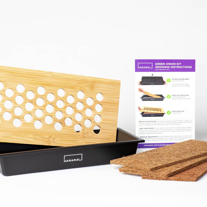 Green Onion Growing Kit for wholesale by Hamama