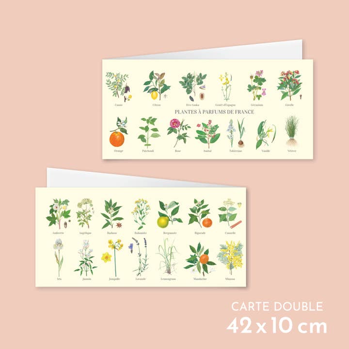 Fragrance plants from France - Double card for wholesale by Longue-vue