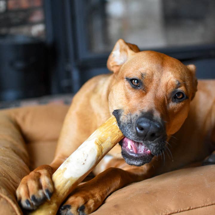 Mumbies - Wholesale Pet Chew Toy - Dog - Original Chew7