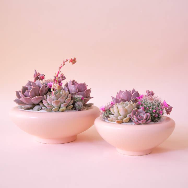Jungle Club - Wholesale Plant Pot - Birdie Bowl | Petal Pink0