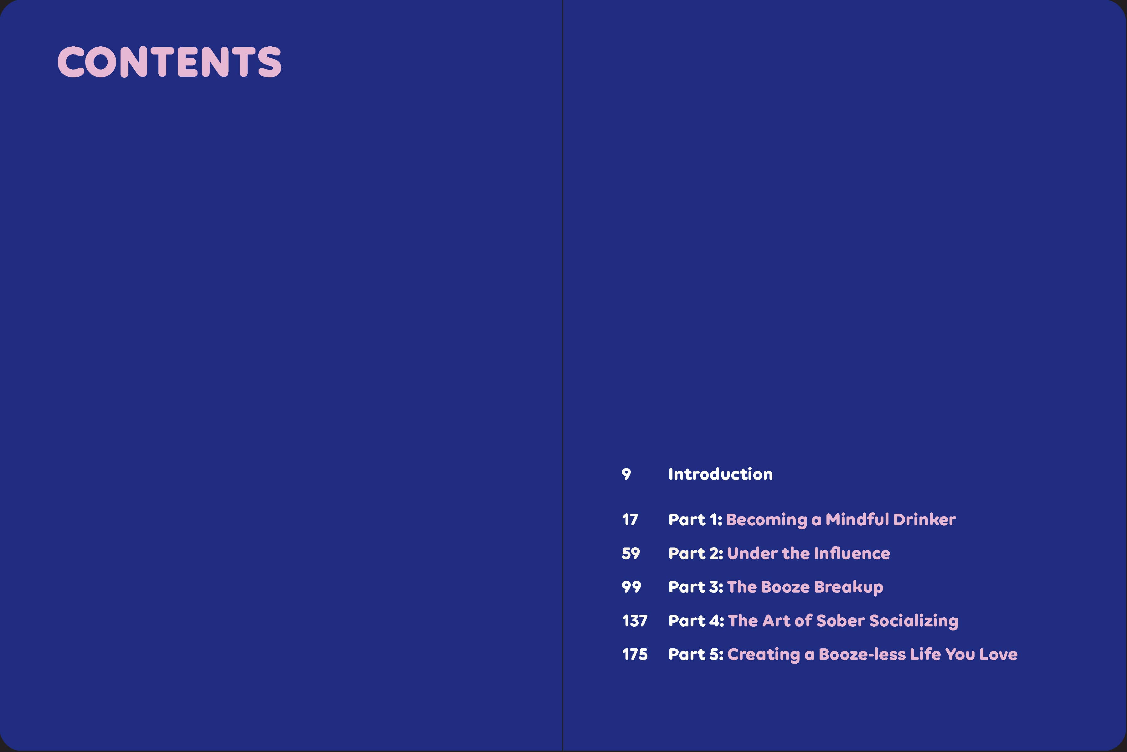 Chronicle Books - Wholesale Journal/Diary - Booze Less3