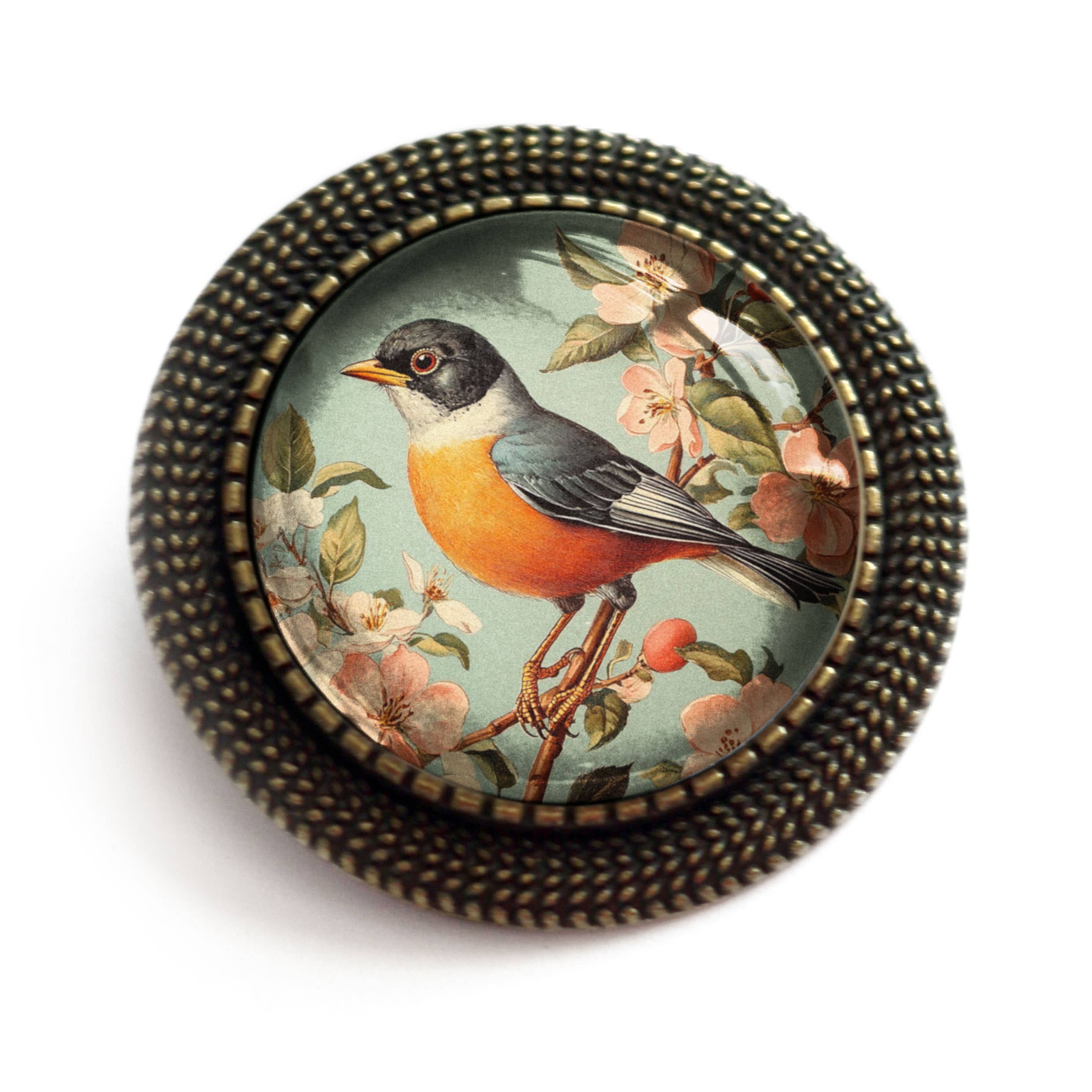 The Divine Iguana - Wholesale Brooch - Vintage Robin Spring Bird Glass Cabochon Brooch0