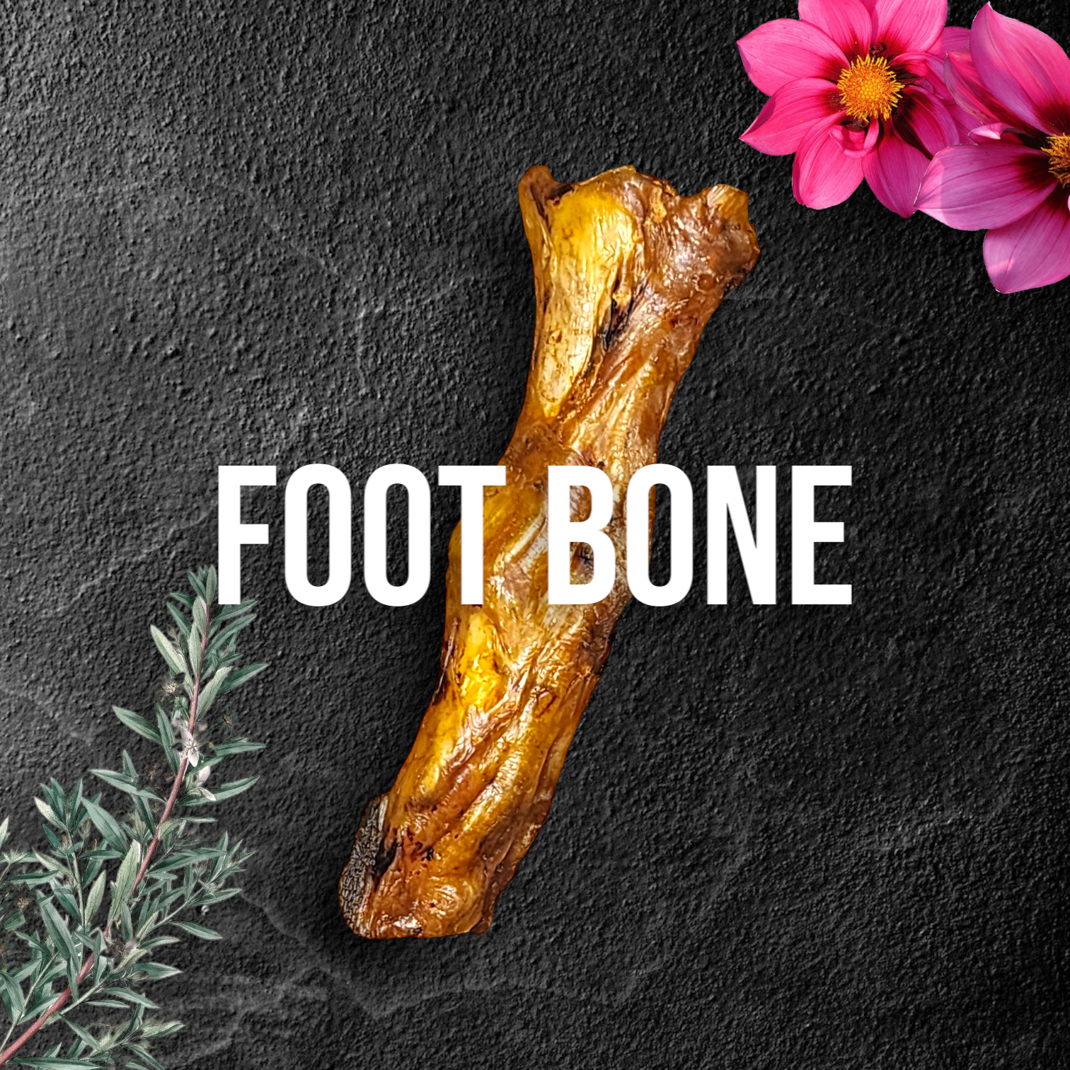 Savannah Pet Food - Wholesale Pet Treats - Dog - Ostrich Foot Bone Single-ingredient Novel Protein Dog Treat1