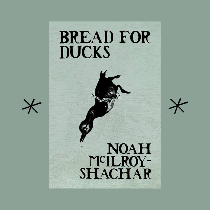 Bread for Ducks, by Noah McIlroy-Shachar for wholesale by Bottlecap Press