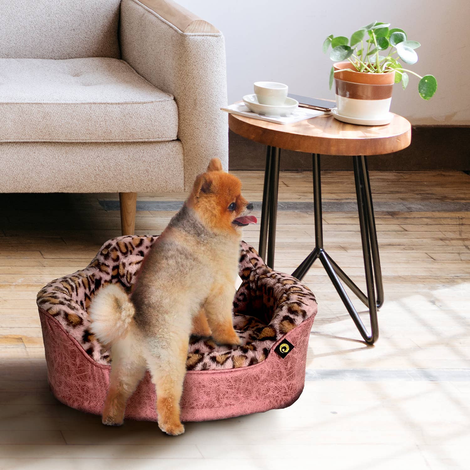 Precious Tails - Wholesale Pet Bed - Cat/Dog - Precious Tails Leopard Princess Bed23