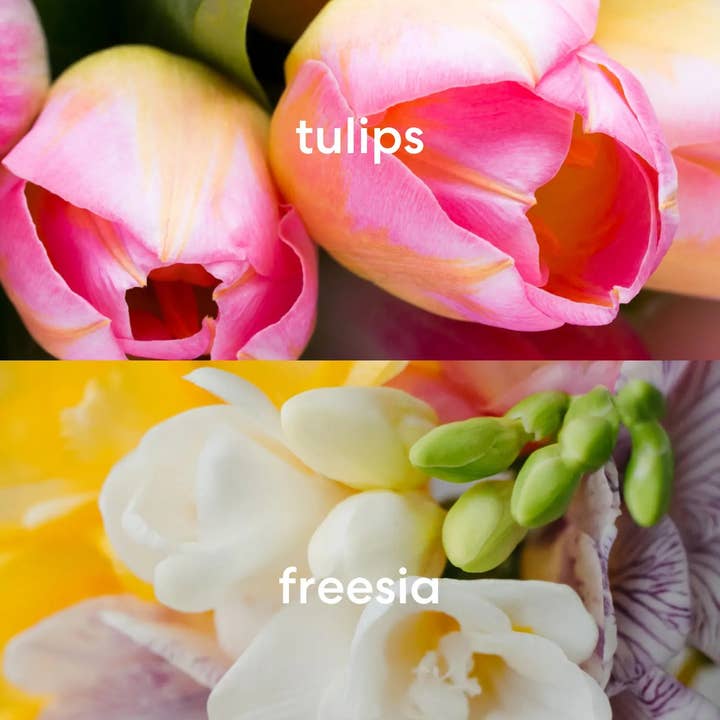 Literie - Wholesale Jar/Filled Candle - Bodega Bouquets4