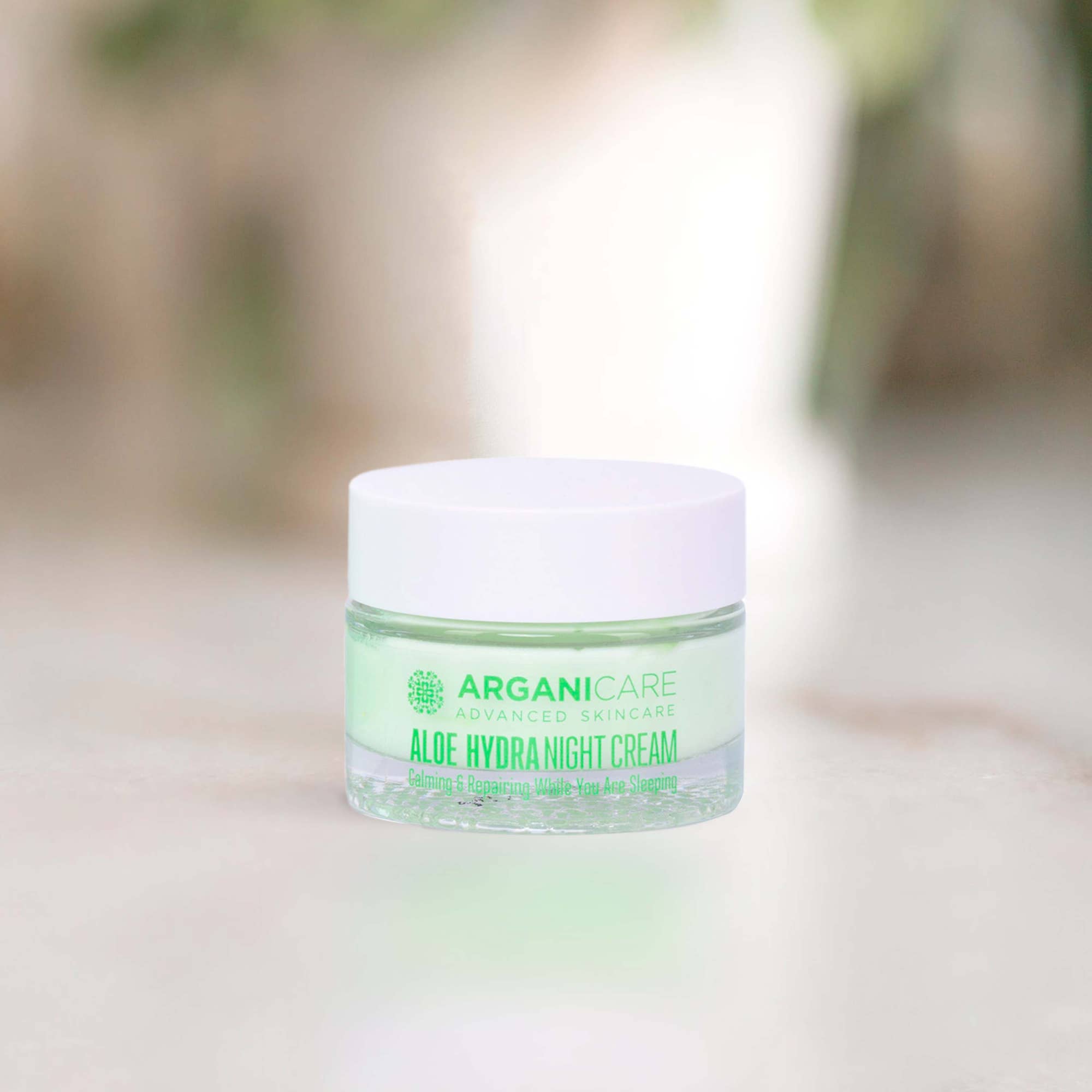ARGANICARE - Wholesale Night Cream - Aloe Vera - Nourishing and Regenerating Night Cream