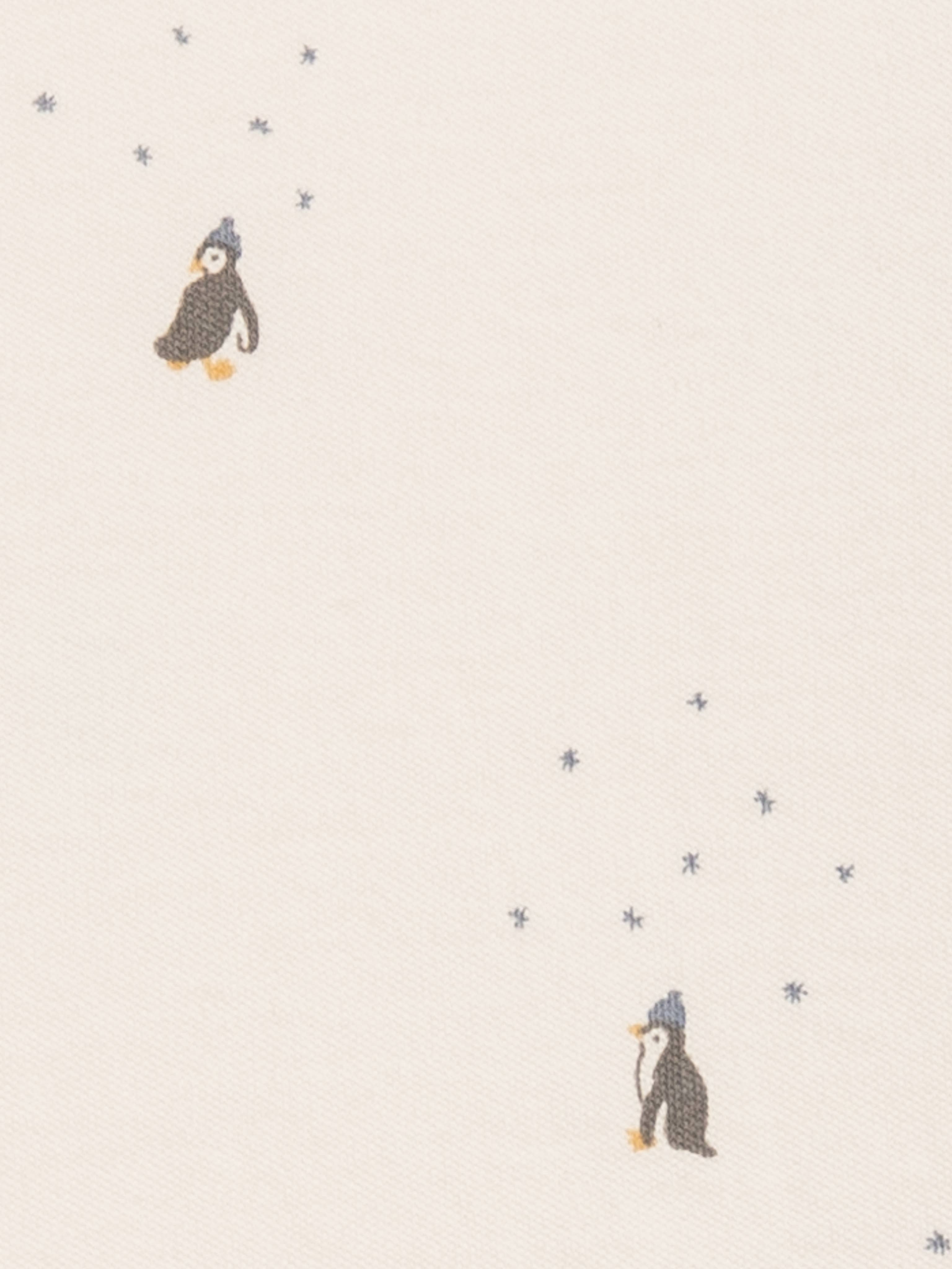 Colored Organics - Wholesale Sleepwear Set - Kids - 2 Piece Long Sleeve Jammie Set - Holiday Collection11