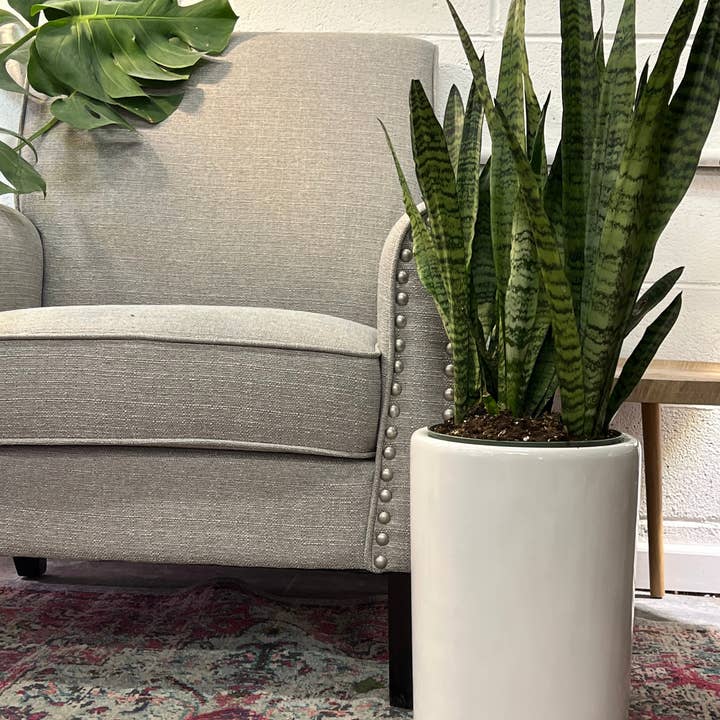 UPshining - Wholesale Plant Pot - 9.5" Ceramic Tall Planter(Plant Not Included)